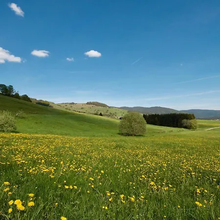 Landgasthof Bergblick Guest house