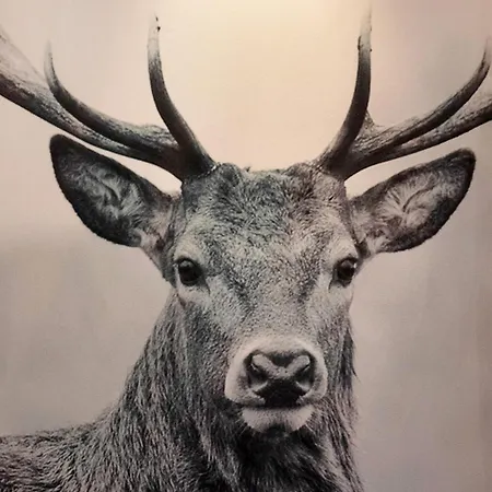 Pensión Landgasthof Bergblick