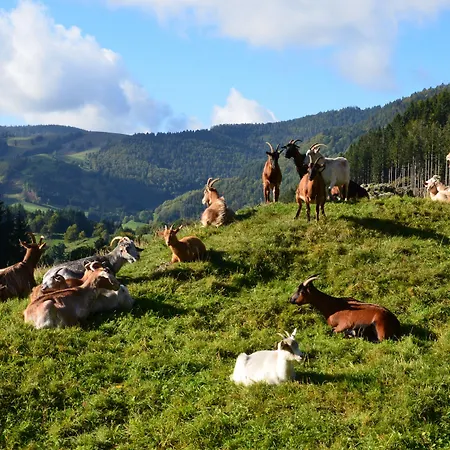 Landgasthof Bergblick