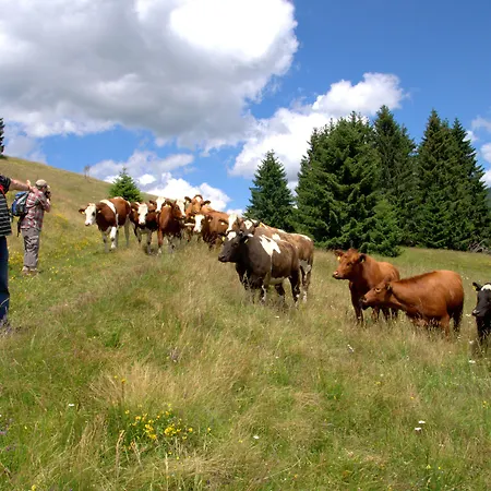 Landgasthof Bergblick