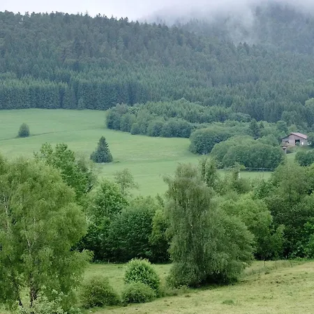 Penzion Landgasthof Bergblick Bernau im Schwarzwald